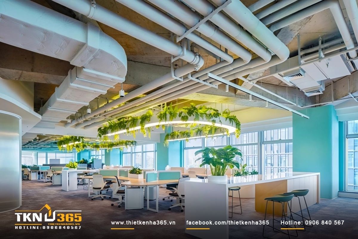 Thiết kế nội thất văn phòng nhiều cây xanh