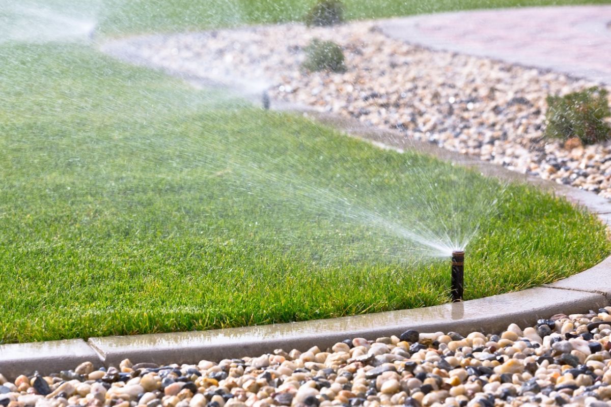 Hệ thống tưới tự động giúp tiết kiệm công chăm sóc (Ảnh: Sưu tầm)