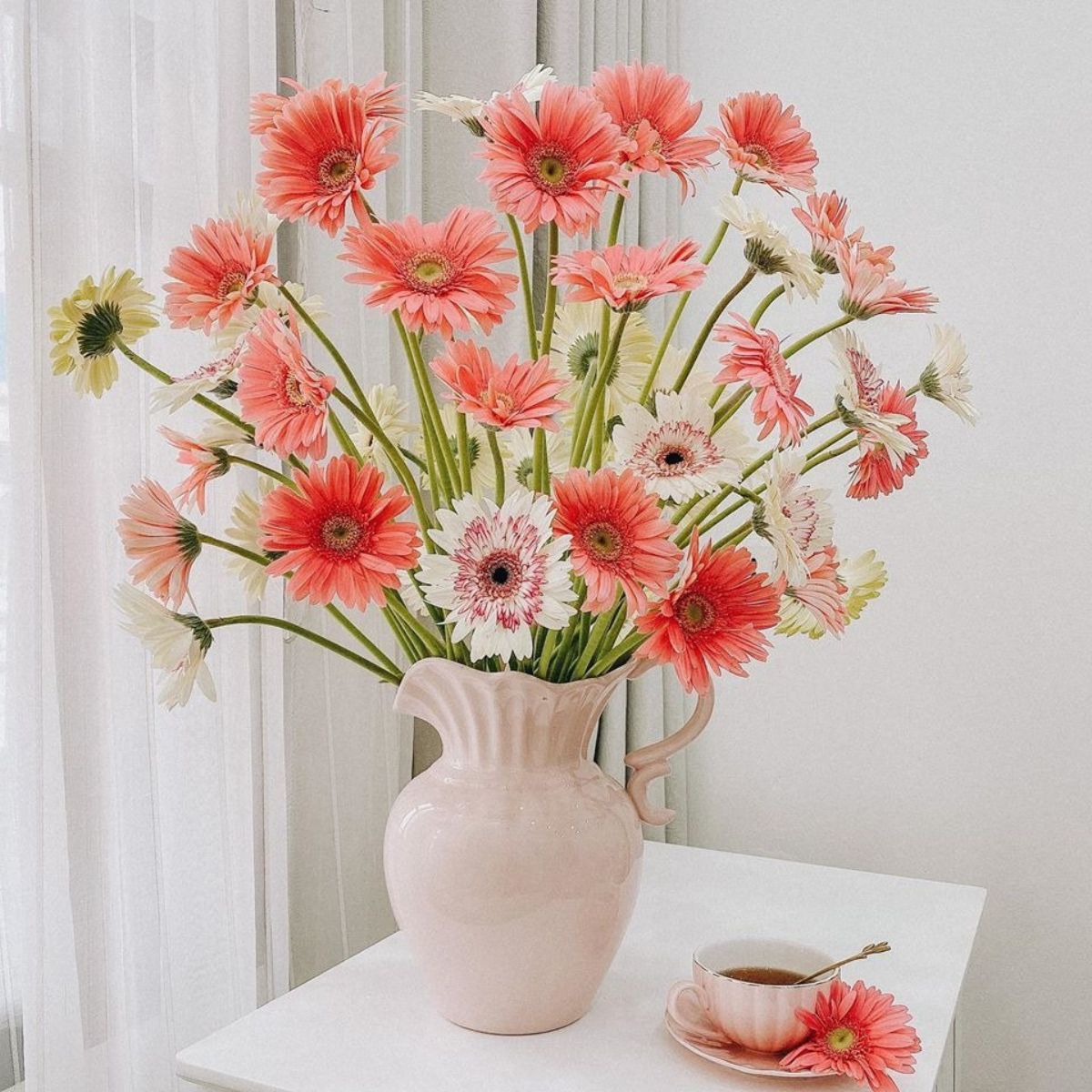 Hoa Đồng Tiền là biểu tượng của may mắn và tài lộc, đồng thời thể hiện tấm lòng thành kính của con cháu dành cho ông bà, tổ tiên (Ảnh: Sưu tầm)