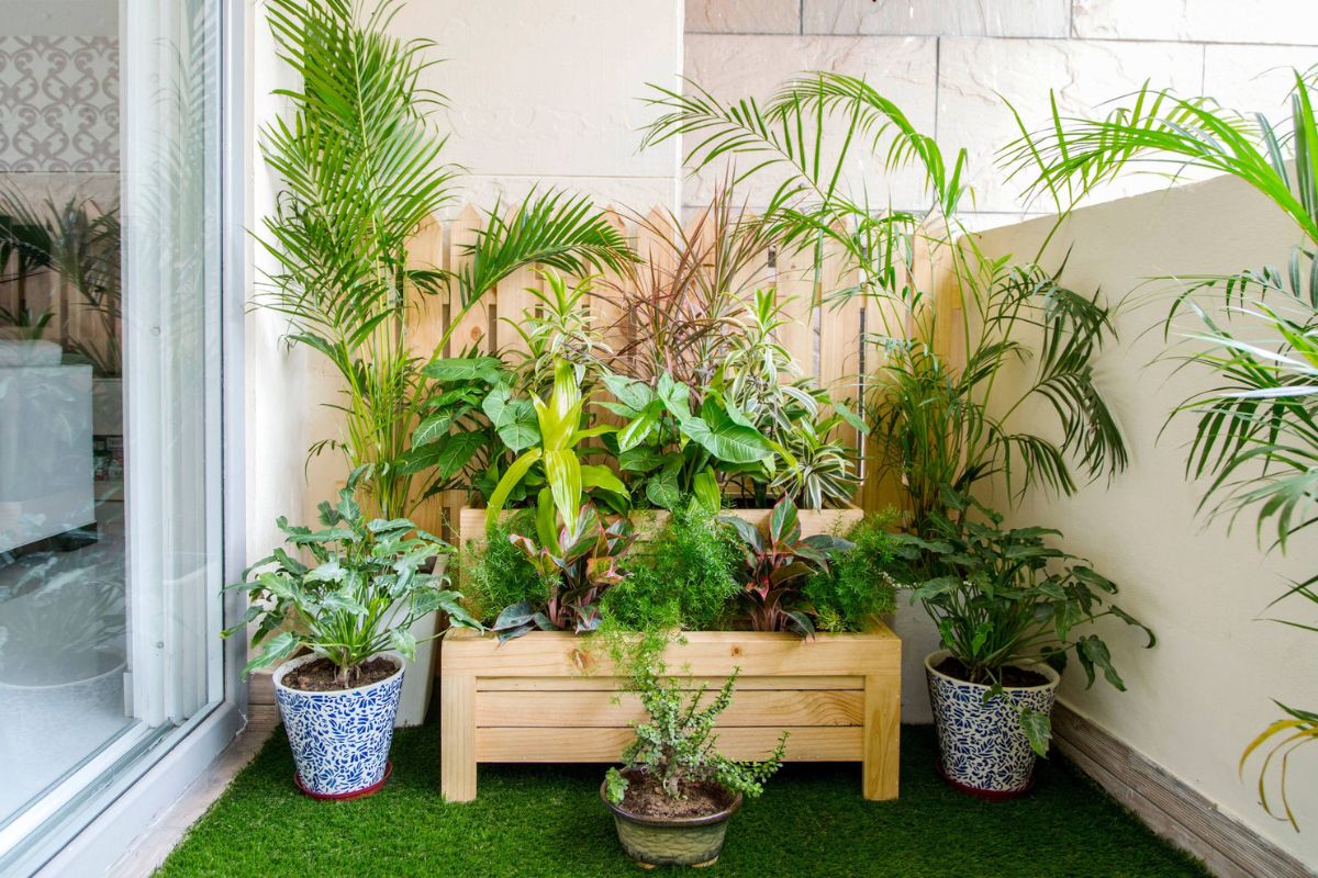 Lựa chọn đúng cây trồng ban công giúp cân bằng phong thủy, tốt cho sức khỏe thể chất và tinh thần (Ảnh: Sưu tầm)