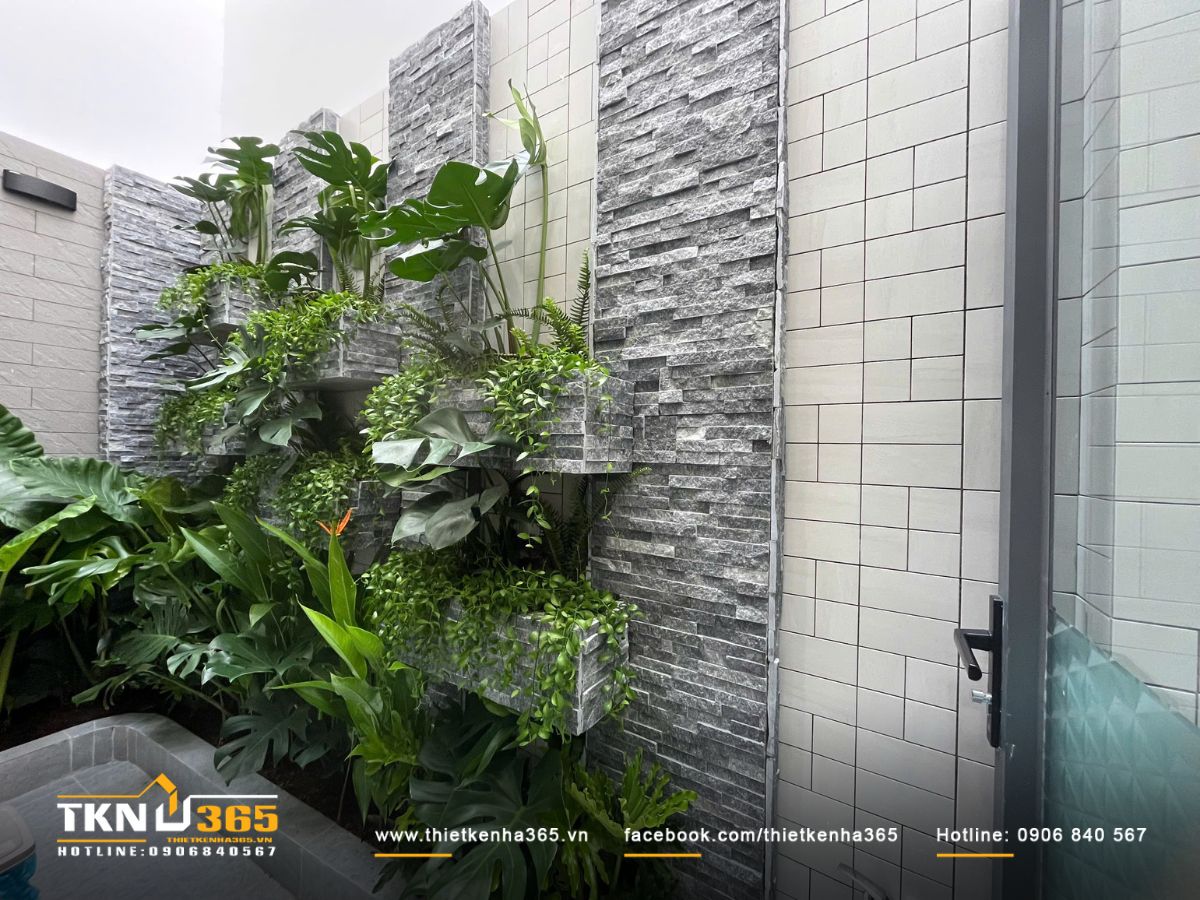 Vách đá xám cùng nhiều loại cây xếp tầng, mang lại cảm giác mát mẻ và sinh động cho khu vực tiểu cảnh