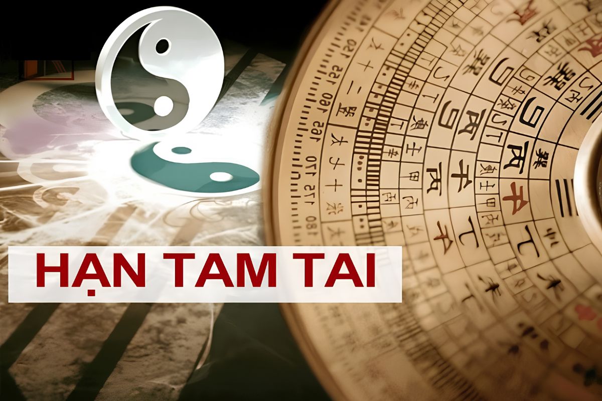 Gia chủ tuổi Dậu gặp tam tai vào các năm Hợi - Tý - Sửu (Ảnh: Sưu tầm)