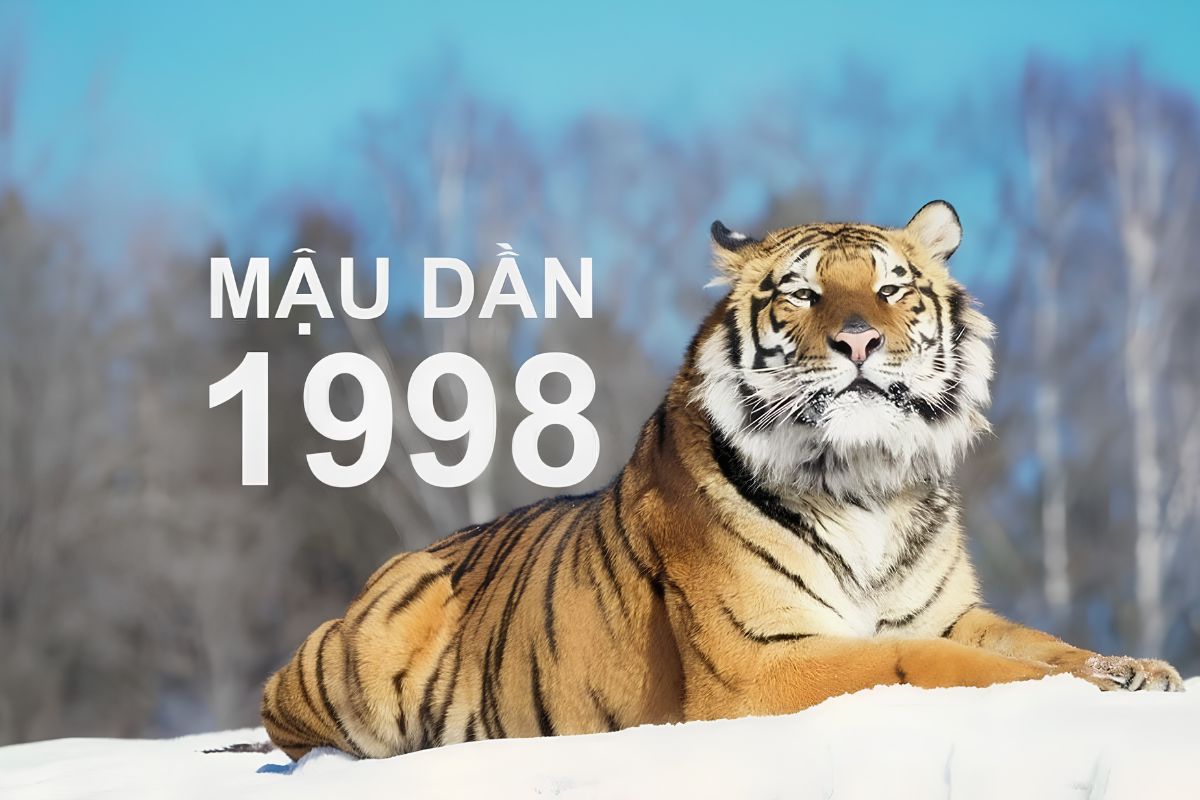Nhiều gia chủ quan tâm đặt câu hỏi Mậu Dần 1998 làm nhà năm nào tốt để lựa chọn thời điểm khởi công thích hợp (Ảnh: Sưu tầm)